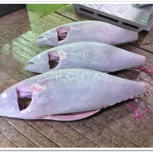 Superfrozen Yellowfin