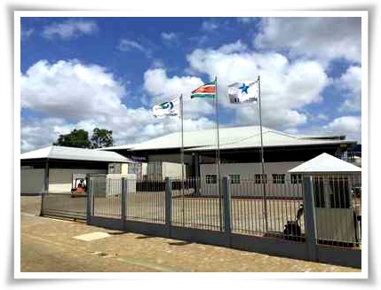 Suriname 蘇里南s Suriname 蘇里南s